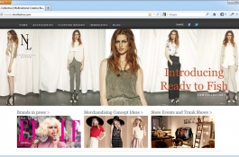 NL Collective Website Design